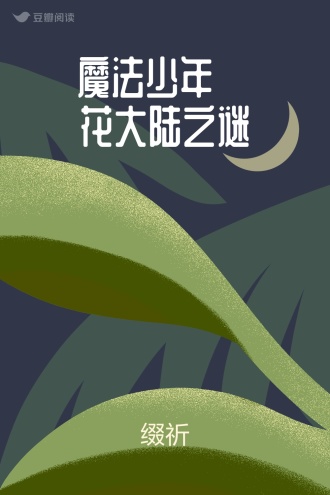 魔法少年·花大陆之谜