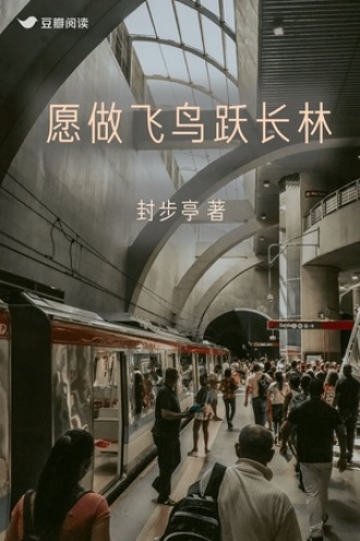 愿做飞鸟跃长林