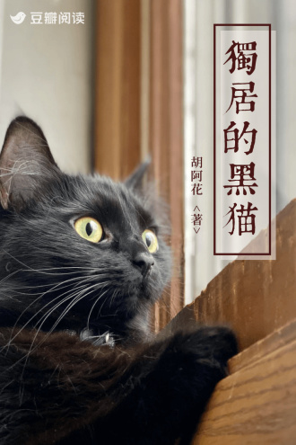 独居的黑猫