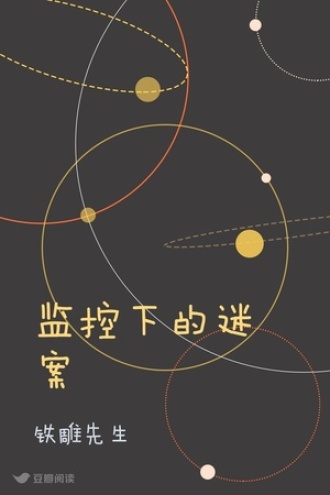 监控下的迷案