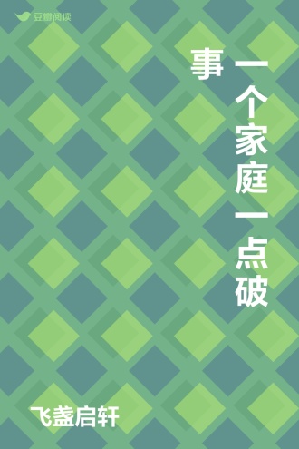 一个家庭一点破事