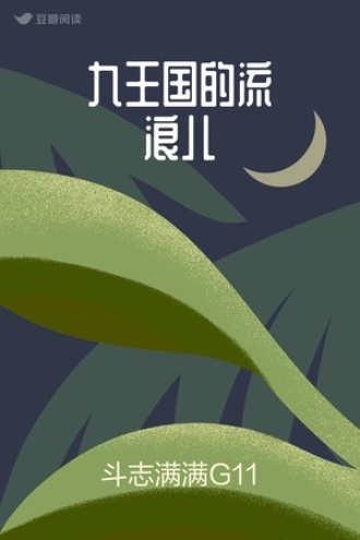 九王国的流浪儿