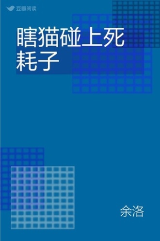 瞎猫碰上死耗子