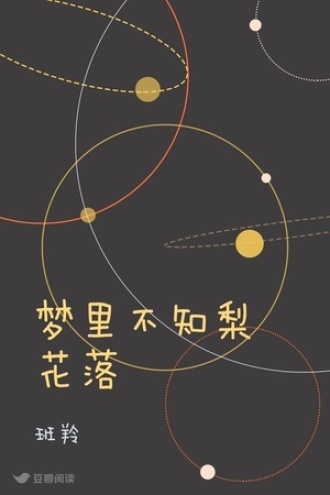 梦里不知梨花落