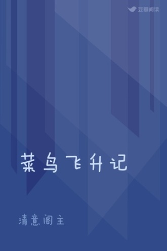 菜鸟飞升记