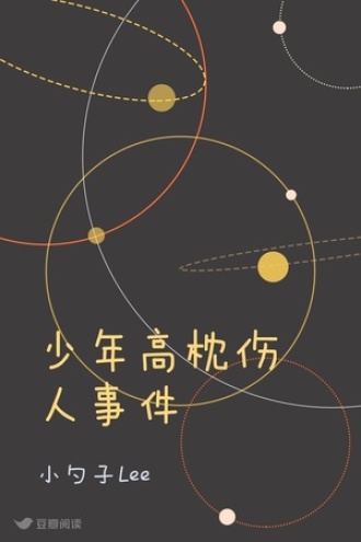 少年高枕伤人事件