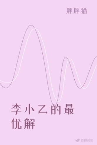 李小乙的最优解
