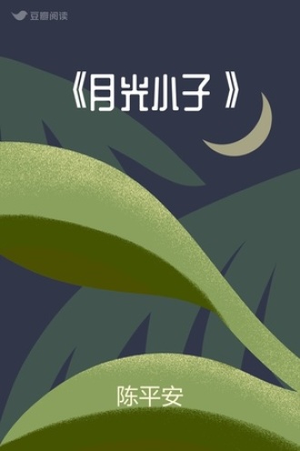 《月光小子》