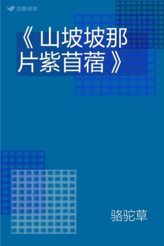 《山坡坡那片紫苜蓿》
