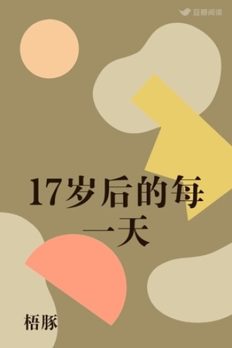 17岁后的每一天