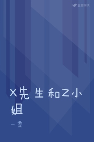 X先生和Z小姐