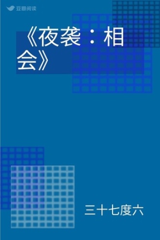 《夜袭：相会》