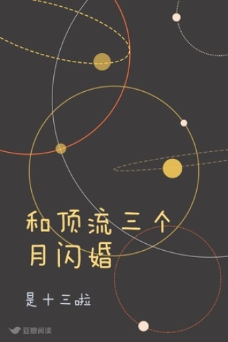 和顶流三个月闪婚