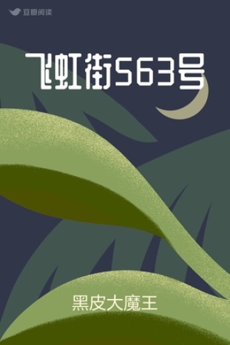 飞虹街563号