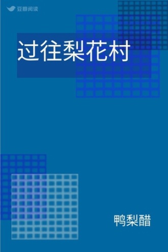 过往梨花村