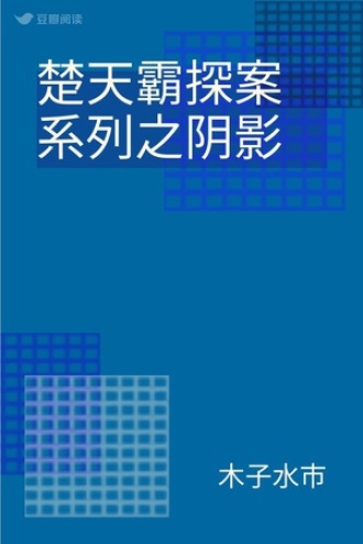 楚天霸探案系列之阴影