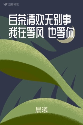 白茶清欢无别事 我在等风 也等你