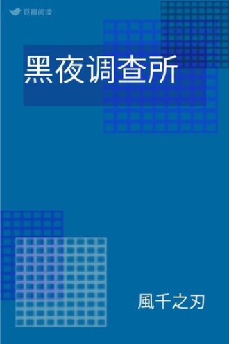 黑夜调查所
