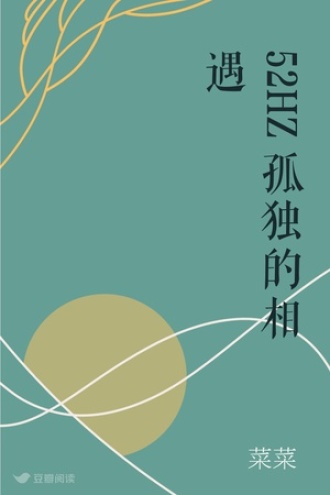 52HZ孤独的相遇