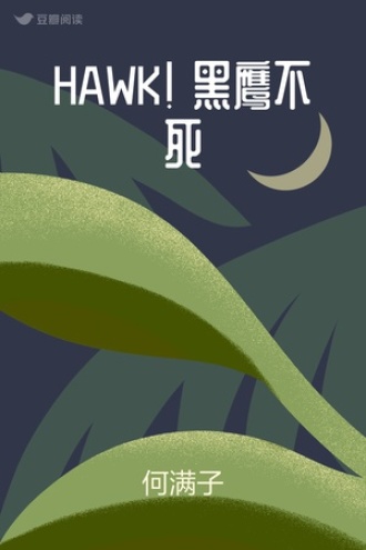 HAWK! 黑鹰不死