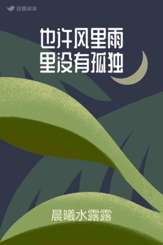 也许风里雨里没有孤独