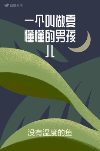 一个叫做夏懂懂的男孩儿
