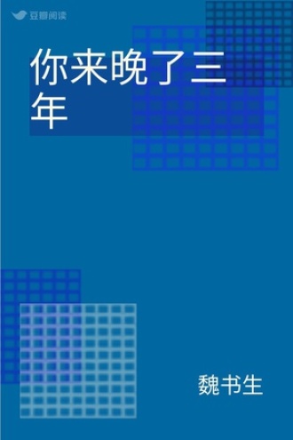 你来晚了三年