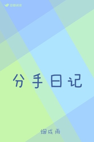 分手日记