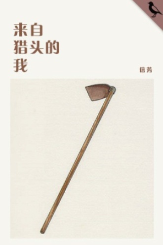 来自猎头的我