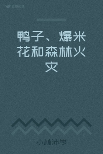 鸭子、爆米花和森林火灾