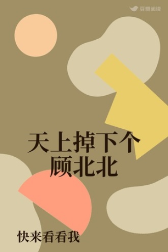 天上掉下个顾北北