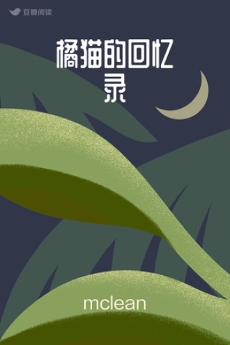 橘猫的回忆录