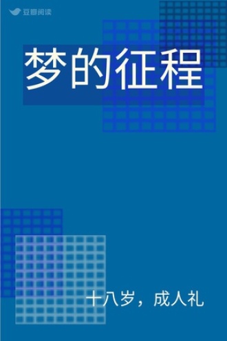 梦的征程