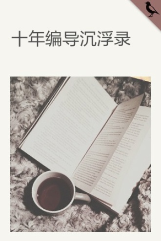十年编导沉浮录
