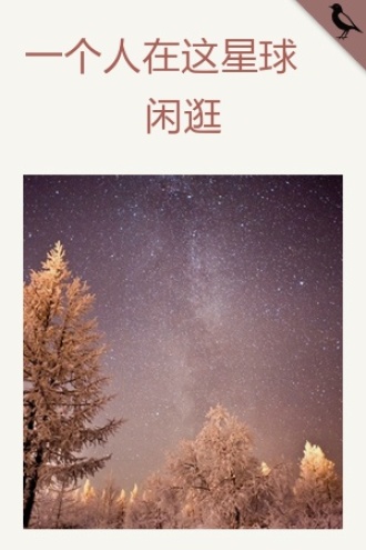一个人在这星球闲逛