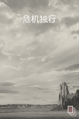 危机独行