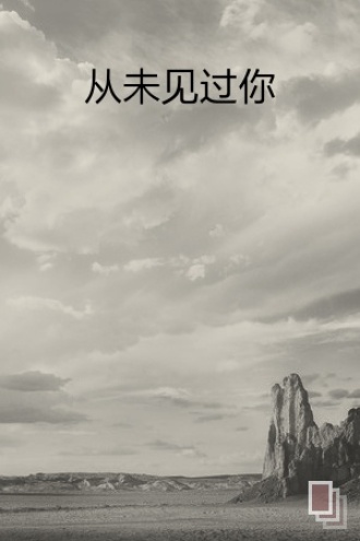 从未见过你