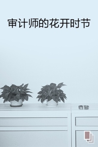 审计师的花开时节