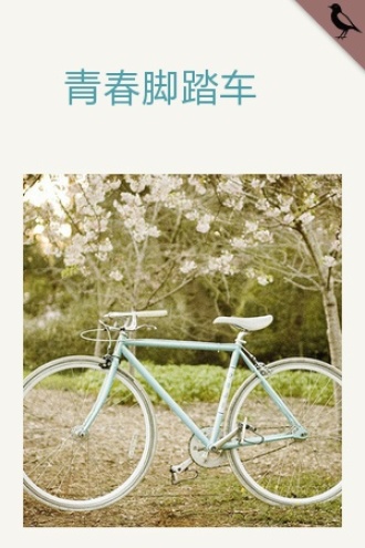 青春脚踏车