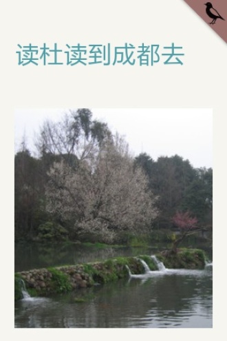 读杜读到成都去