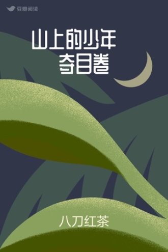 山上的少年·夺目卷