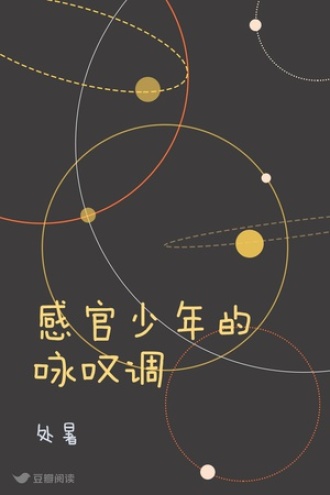 感官少年的咏叹调