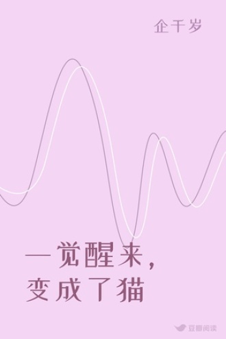 一觉醒来，变成了猫