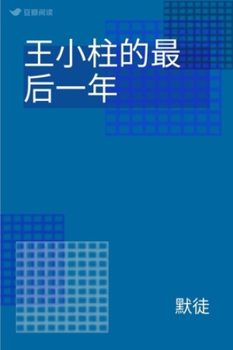 王小柱的最后一年