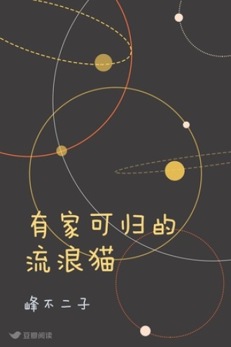 有家可归的流浪猫