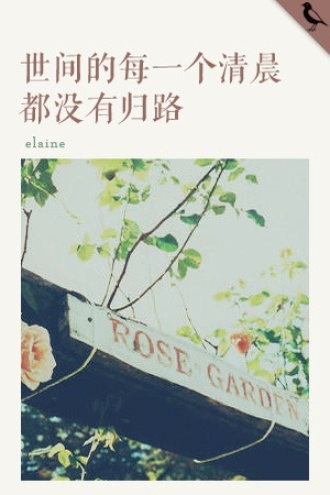世间的每一个清晨都没有归路