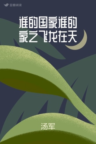 谁的国家谁的家之飞龙在天