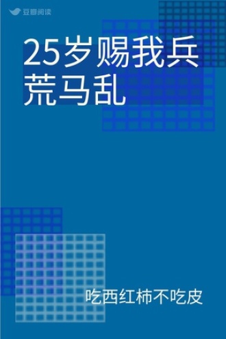 25岁赐我兵荒马乱