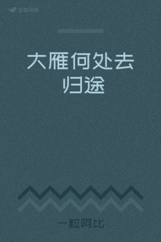 大雁何处去▪归途