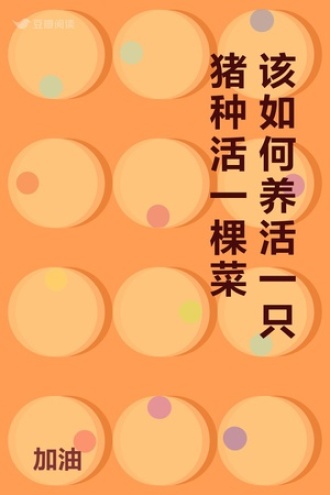 该如何养活一只猪种活一棵菜